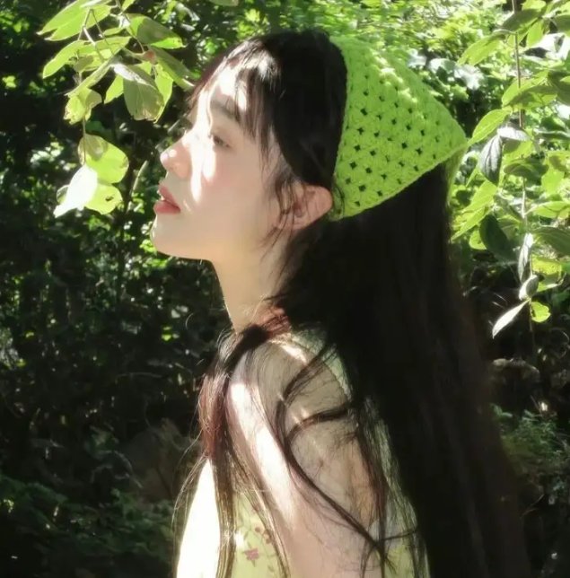 双面艾莉丝